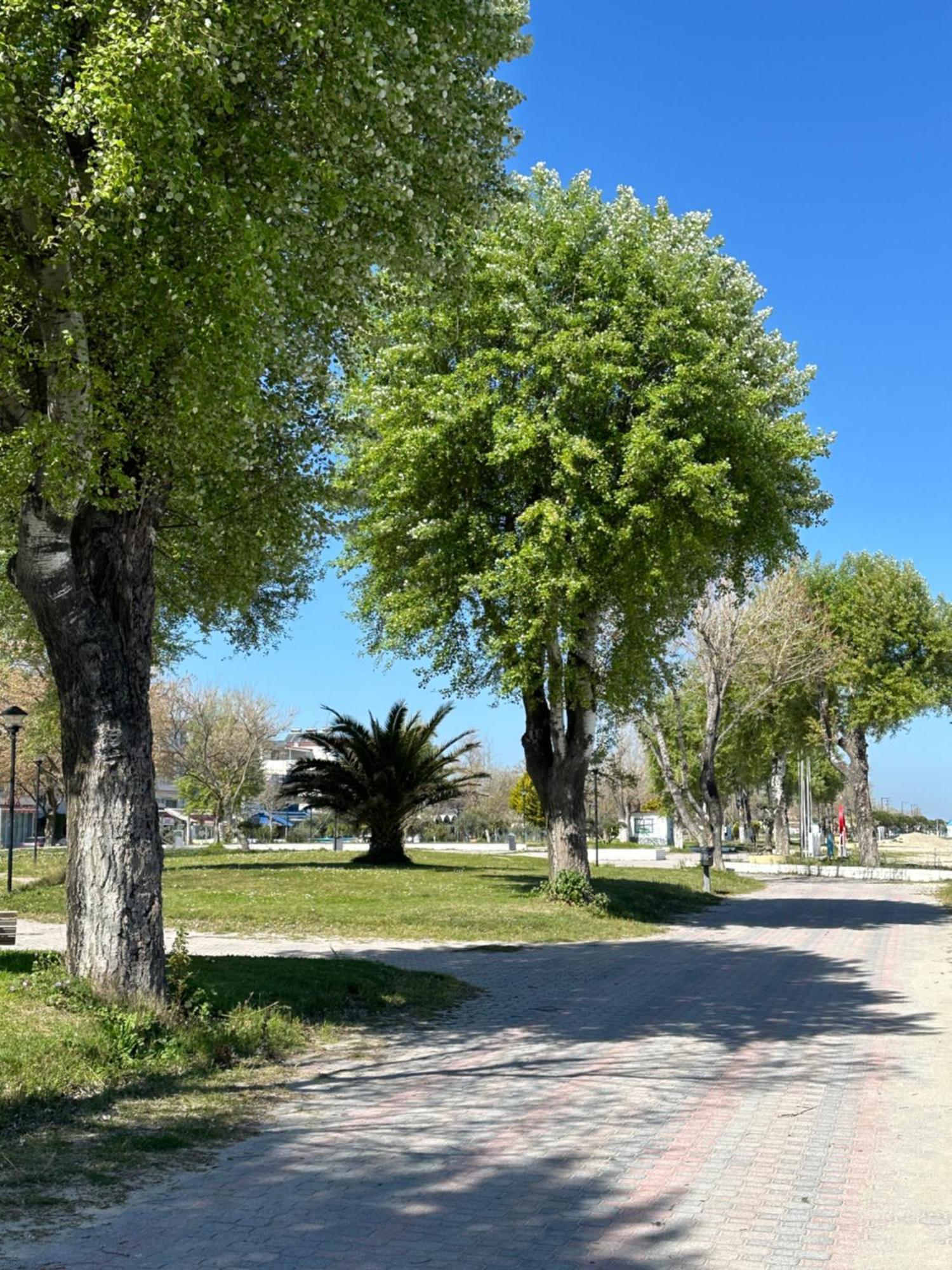 Olympic Beach Rooms מראה חיצוני תמונה